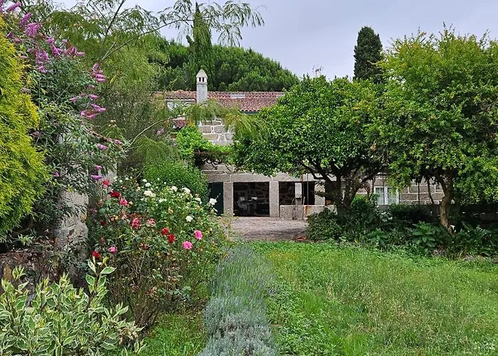 Quinta De S. Domingos - Viseu