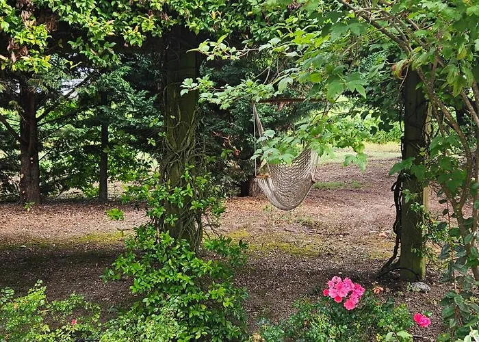 Quinta De S. Domingos - Viseu